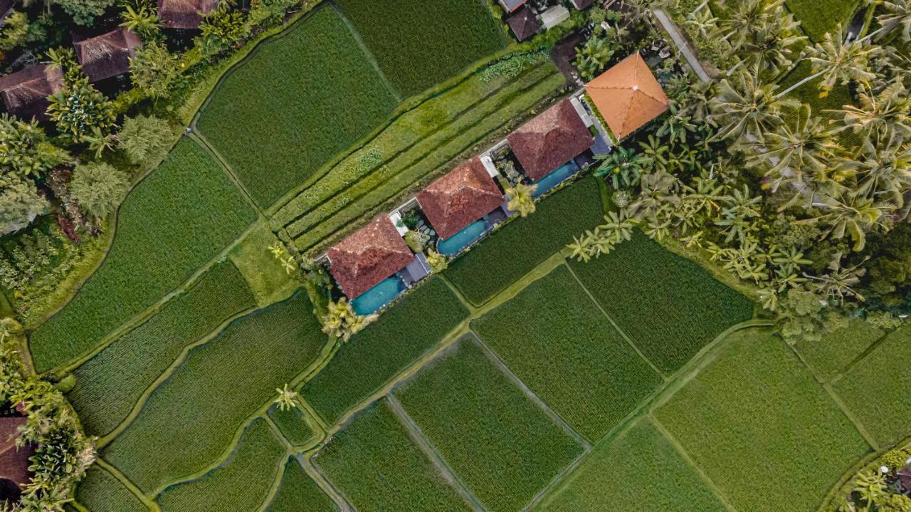 Airsania Ubud Antique Villas المظهر الخارجي الصورة